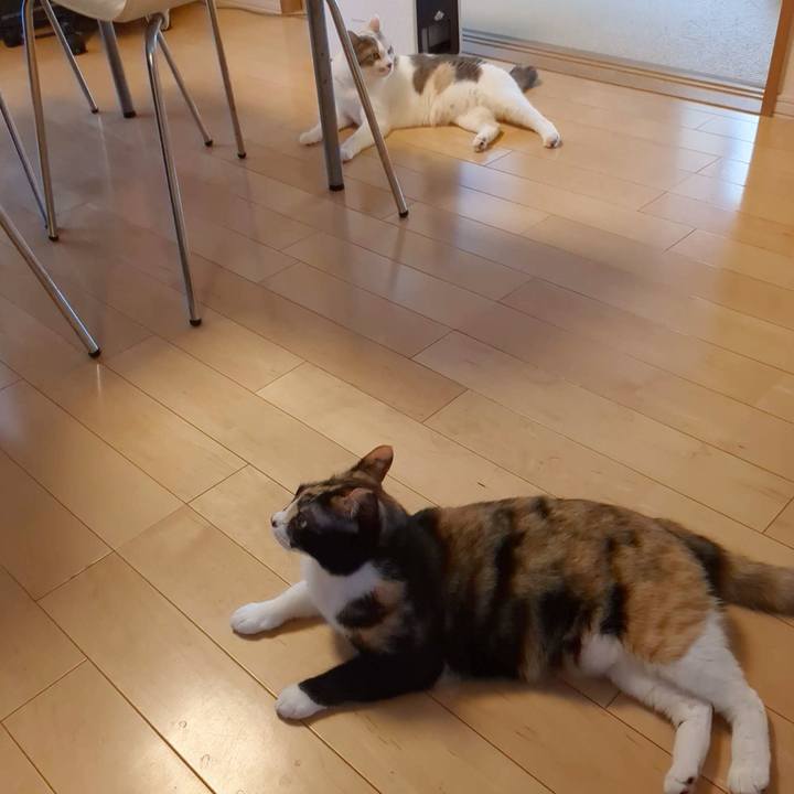 Eed703bd 3ef7 4cf2 b5b7 cd613d899377 1685255534013