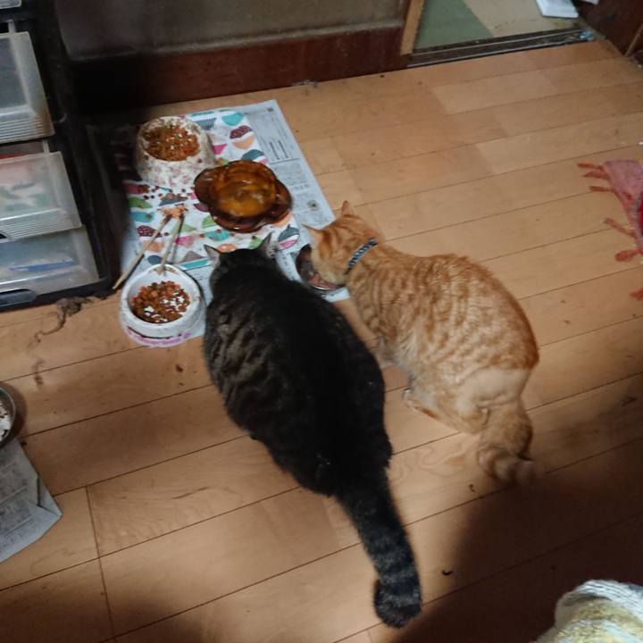 Eed72a4a c5eb 44d1 8096 5d8a13f6745a 1657416401189