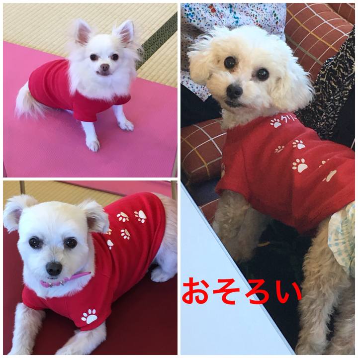 Eed74890 270d 48fb b7a6 b2c930e91318 1538099938866