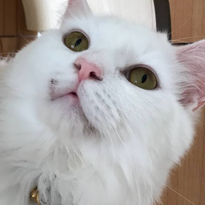 Eed7530a a41b 493c a88f e940d81e997f 1529142337120