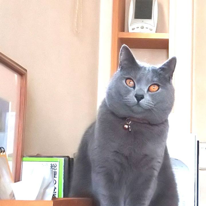 Eed77012 ad00 48b5 b4e9 743a3a86dcb0 1550038506917