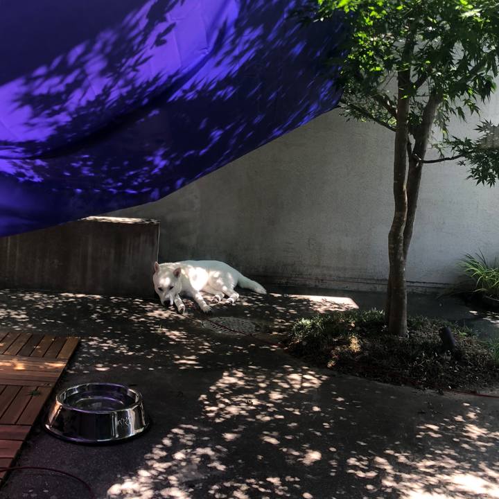 Eed7706d 17d3 4a04 bd60 edcd35f6822e 1529579225292