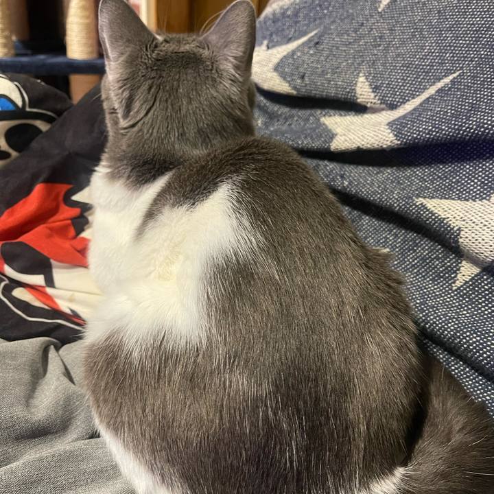 Eed77d0c df9b 4d38 a3db a3c20e45ee44 1648046330194