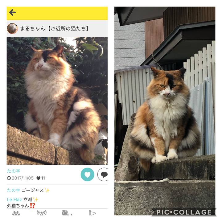 Eed79230 60ae 4a18 adc5 23efd9e2f35b 1603576671520