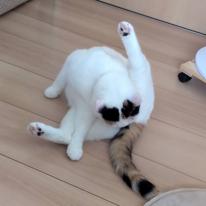 Eed7c818 2dc0 49ac 99b9 9fe71ccc84dc 1751590437390