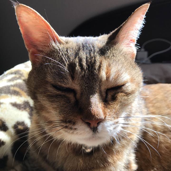 Eed7d217 7f3c 4e21 b005 be4473148d35 1521267028677