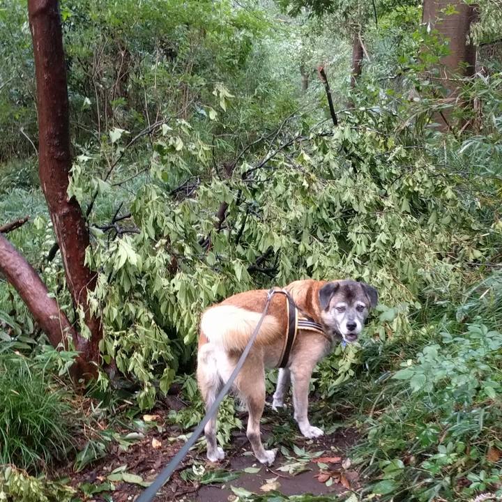 Eed80c68 978e 4bdf 9688 b7148330bf69 1536104332321