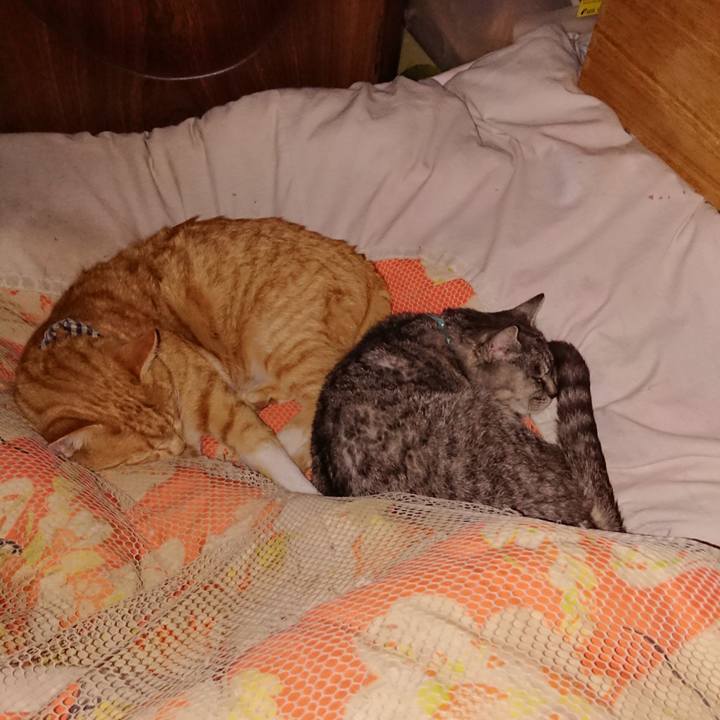 Eed8357f 4563 4492 8ba2 fa9313ac7ac1 1573657805544