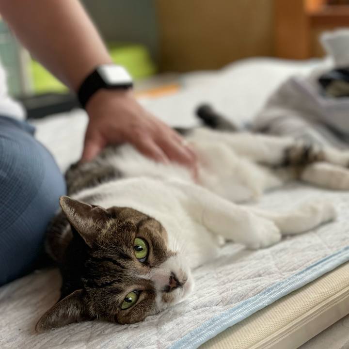 Eed86ba9 542d 4694 bf6a e559949522af 1661217438574