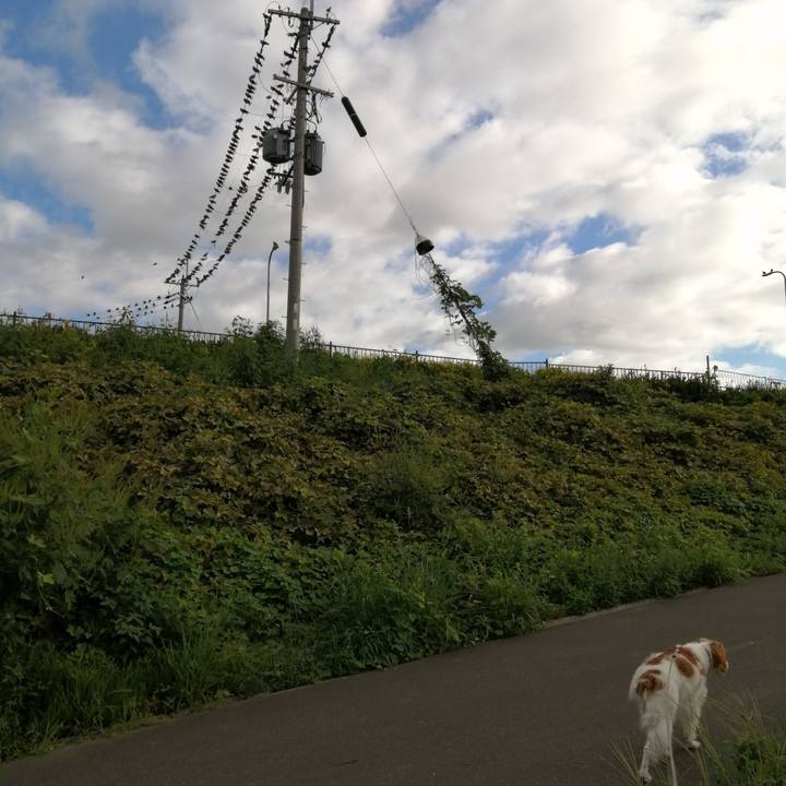 Eed893f5 8631 4a72 a7e0 eada265e0b4e 1600049800051