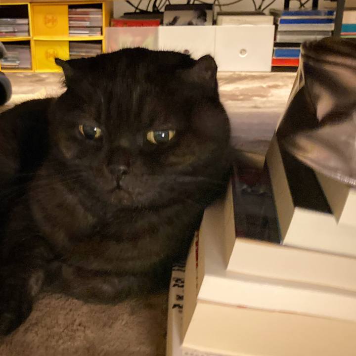 Eed8c307 90be 4780 8ea2 c4ed9b80de98 1604745078337