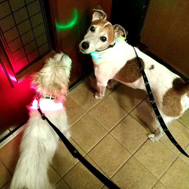 Eed8ca46 d325 48c6 a846 4ec279cbf255 1537615768009