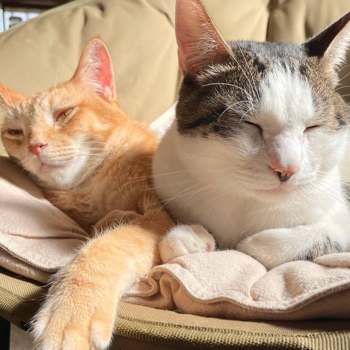 Eed8d744 9fe3 4dbf 9861 386328b8d1f4 1765937593824