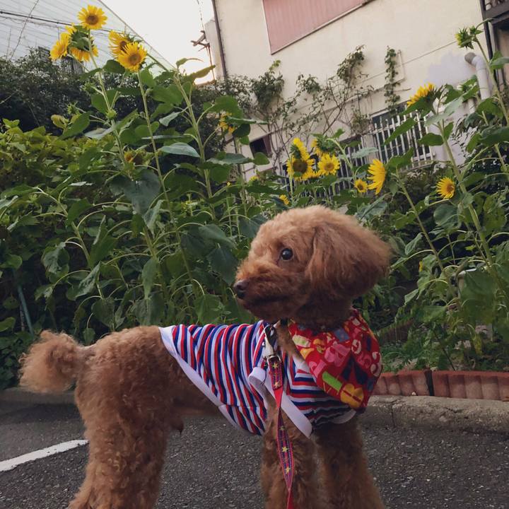 Eed93332 7e4a 40d9 aa77 a6abc37a5c7e 1564914448715