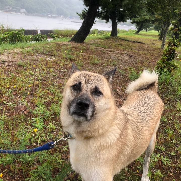 Eed936ed e892 443d 929b 2b07cc210a8b 1567328324428