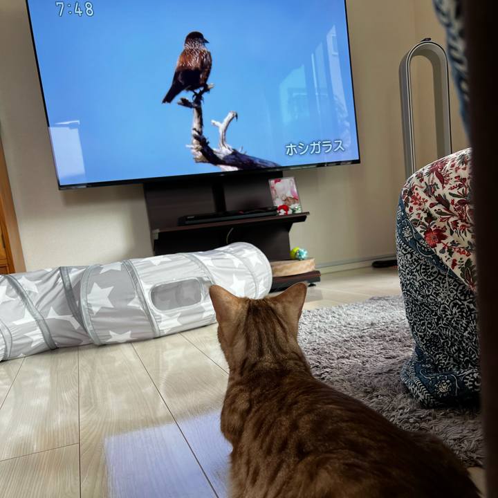 Eed94485 c8a3 4bae 887c f2fcc2206683 1688856588691