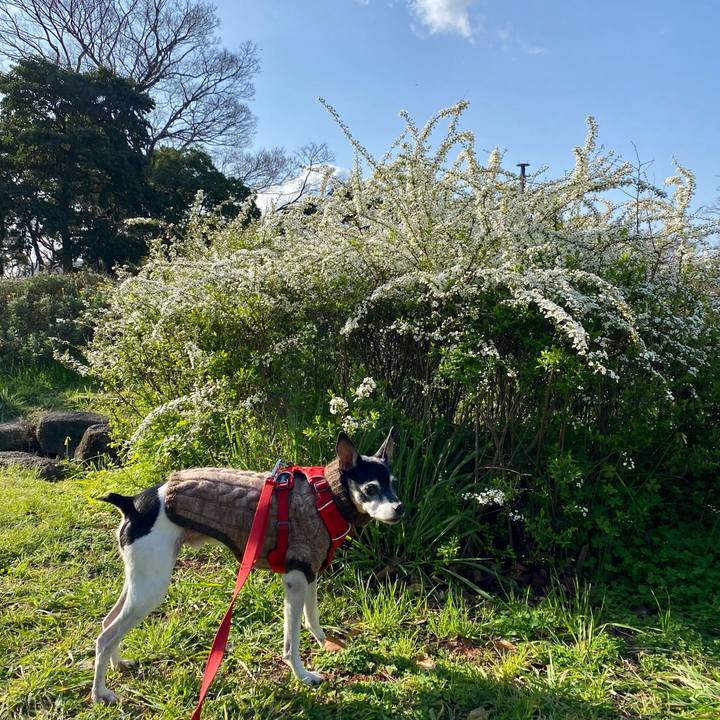 Eed95045 bb51 43d7 b44b ec6746d76549 1615689500962