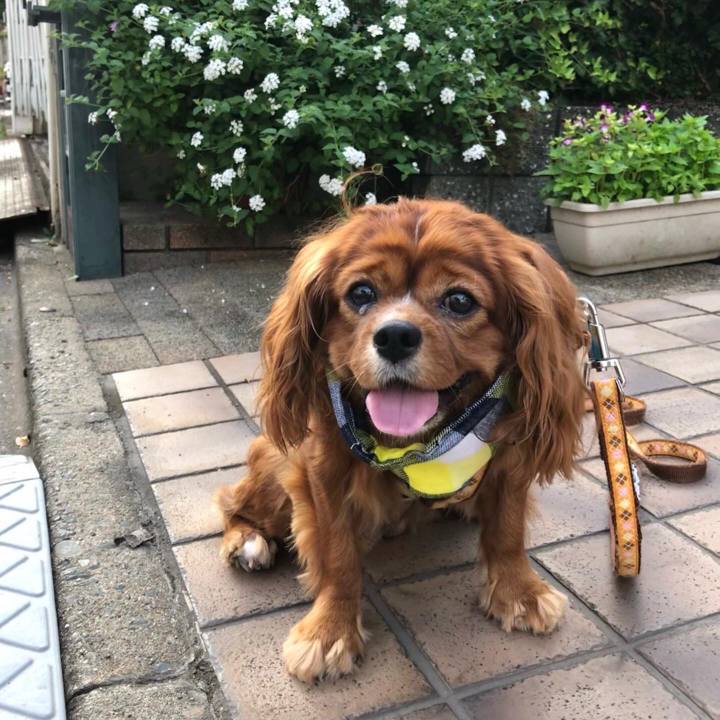 Eed9530b 006d 4c37 bc1f 1d9588cb38e5 1628289993354