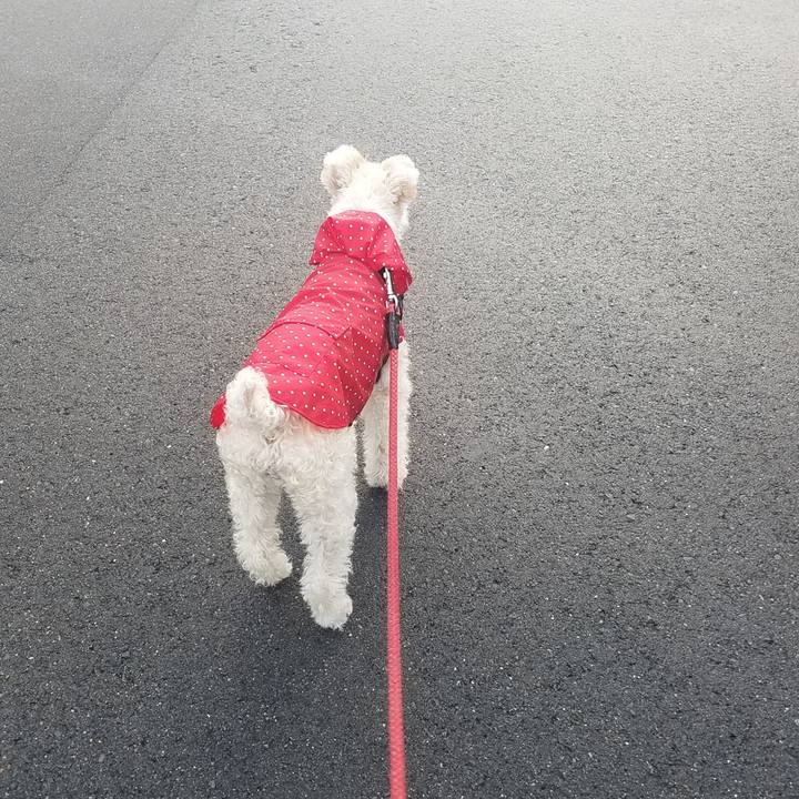 Eed9532a 1753 4b5f af06 a4ff0742ac78 1599692016394