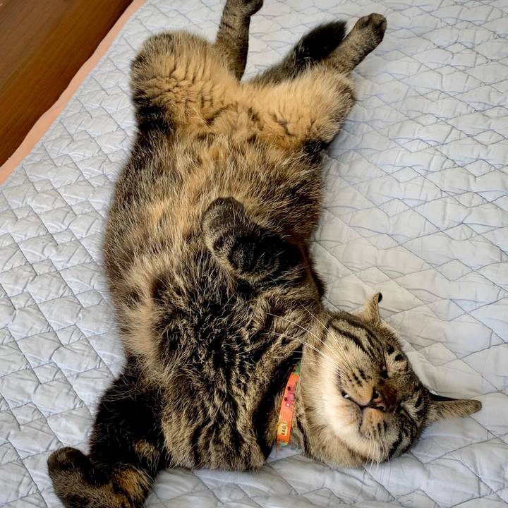 Eed96275 e074 43e3 a4e4 9ec02b58bf3e 1597417562878