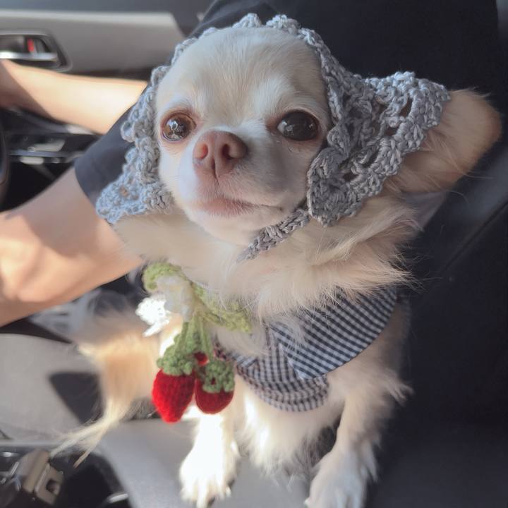 Eed97ed9 0494 4d1b b902 c07b5e30bc91 1755172818516