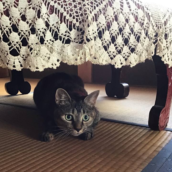 Eed981ef adc9 420d 86bf 409dd87bea0d 1599631860881