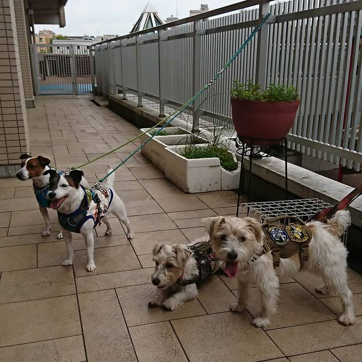 Eed98c09 b852 4a1a 96c2 71aad71d9928 1589267176670