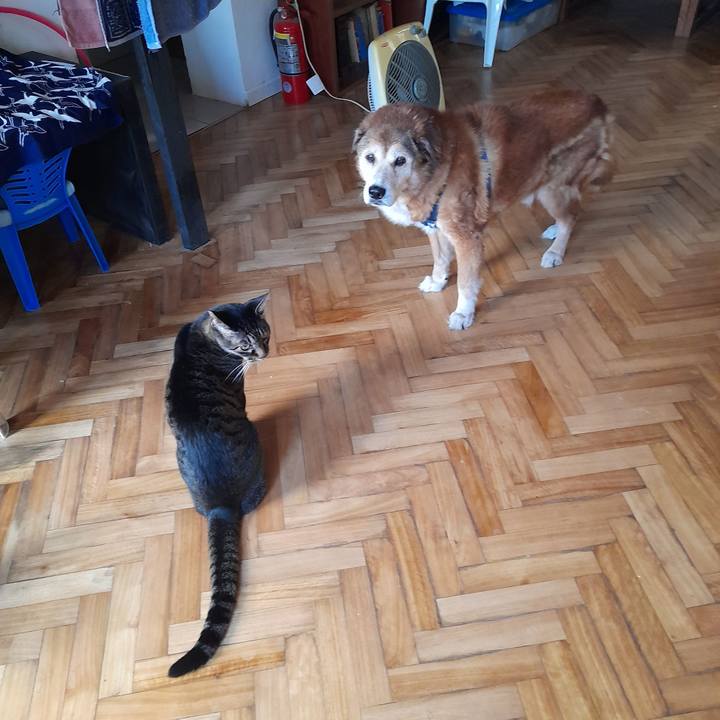 Eed992dd a6fb 45a6 a201 a544178a751a 1767115116292