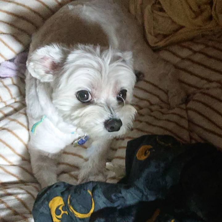 Eed9a25d 8d76 4e36 a7b3 f9d336e39202 1633010778988