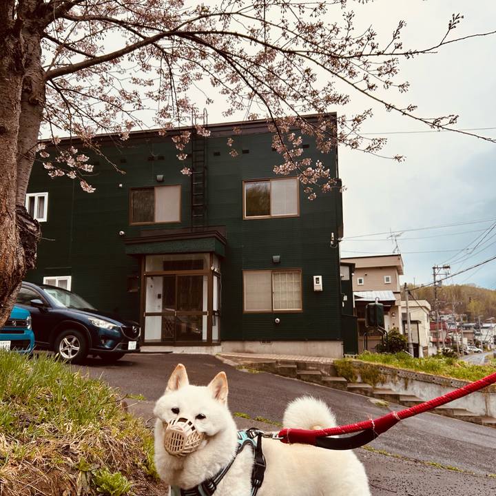 Eed9ce0c 73a3 45f3 afa0 e6a7d58b1de3 1746306551116