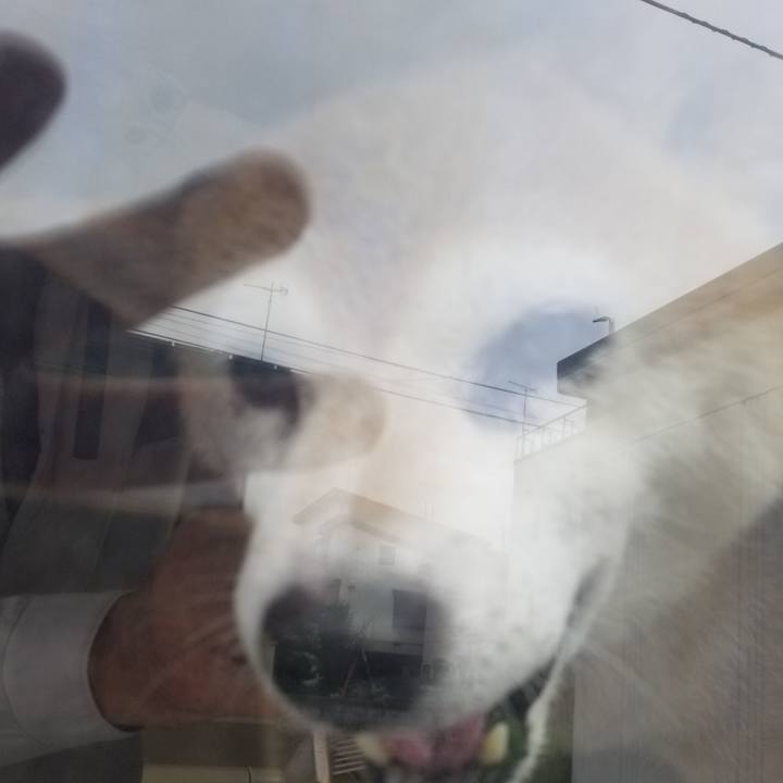 Eeda04b2 f4df 4ead 9fd1 5baac36488f4 1721088995764