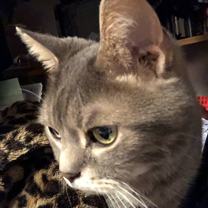 Eeda153c 86c7 4710 bdb1 f92f2b4cd026 1551626744369