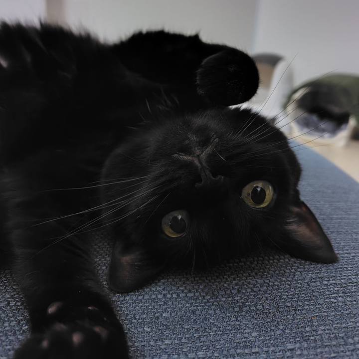 Eeda2645 385b 46d7 afd2 4967dcc3fbc6 1717161579906