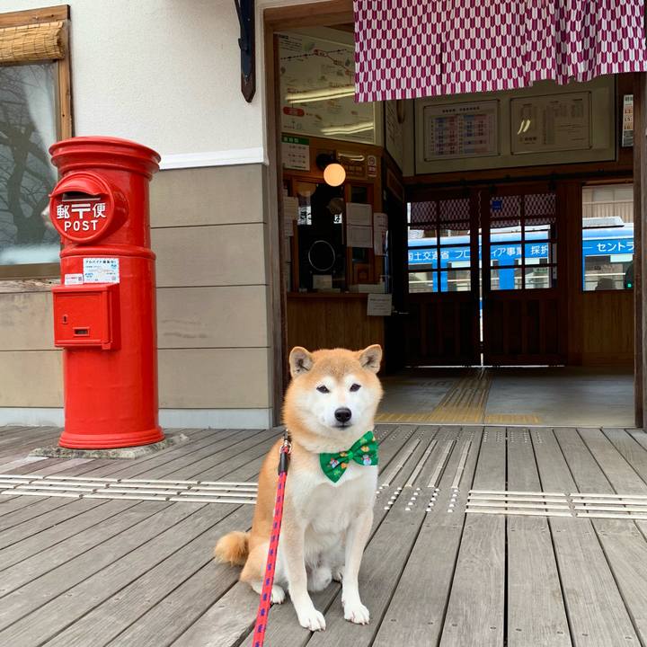 Eeda35d8 2221 40ce bdc5 dc041dba296f 1671279290486