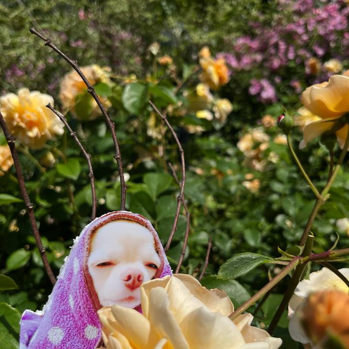 Eeda3e11 47b5 4007 a2c1 537e1a6d4527 1653466343684