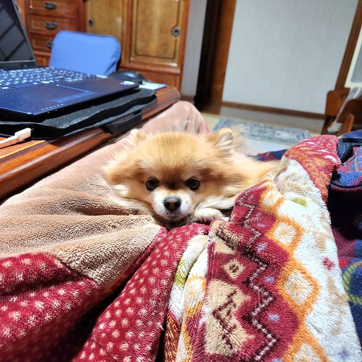 Eeda4ed3 38c2 4154 87f3 e1166b0c98cb 1702381769800