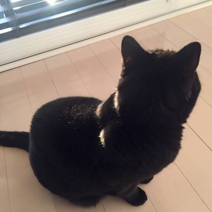 Eeda6016 8cc0 4084 9dd3 1f4023cde9d5 1551507256293