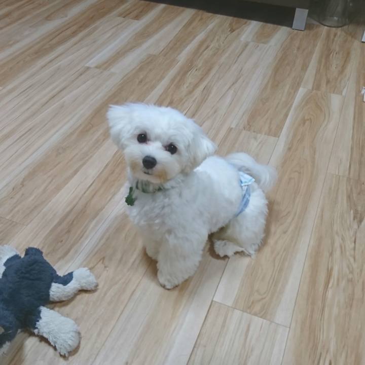 Eeda6425 bac9 44a3 af2c 3ad68277e7ee 1599827930080