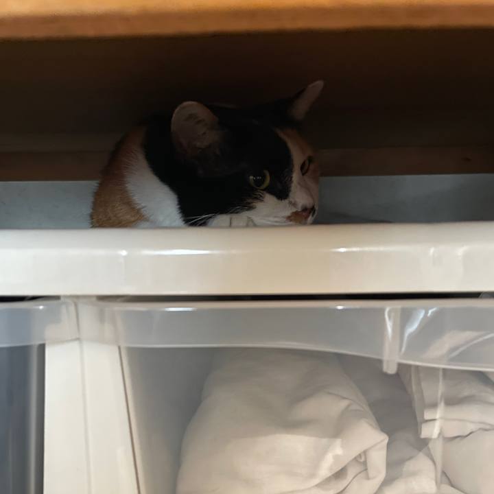 Eedaa136 734c 4678 9519 9f6af34b142a 1719371641865