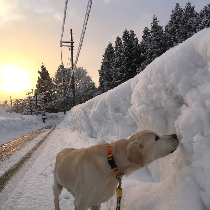 Eedab34e 8b82 41ca 8d5a c3cc5c8b48d6 1547452853418