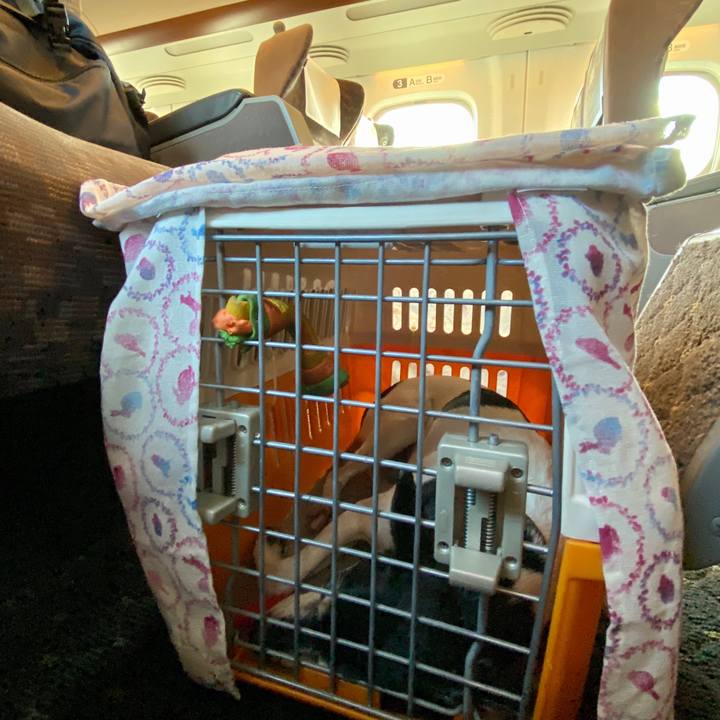 Eedacc18 76ab 4732 9b21 9b6fd3c3bdd6 1597132804028