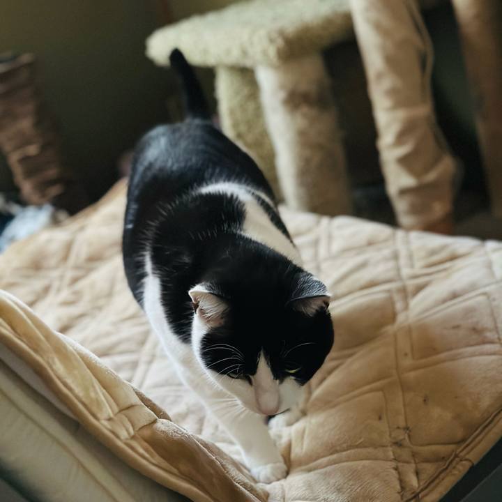 Eedacd34 bad9 4e5c b77c 1aeac8fe9734 1673491905662