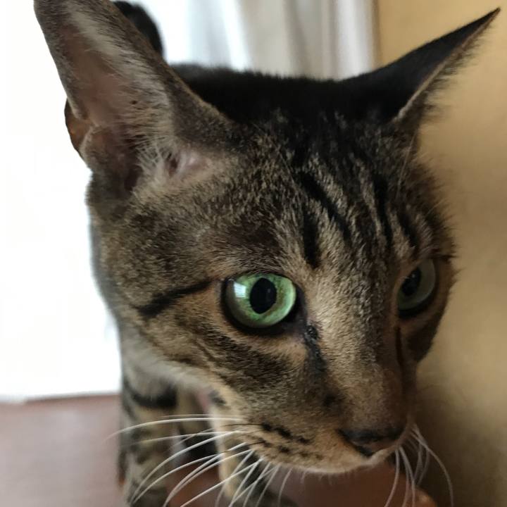 Eedad65f 3939 4905 8765 0ceb972c0ded 1509240859129