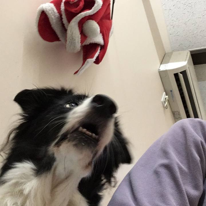 Eedae71d 4877 49c0 a83f 2028a9b695b6 1509797307363