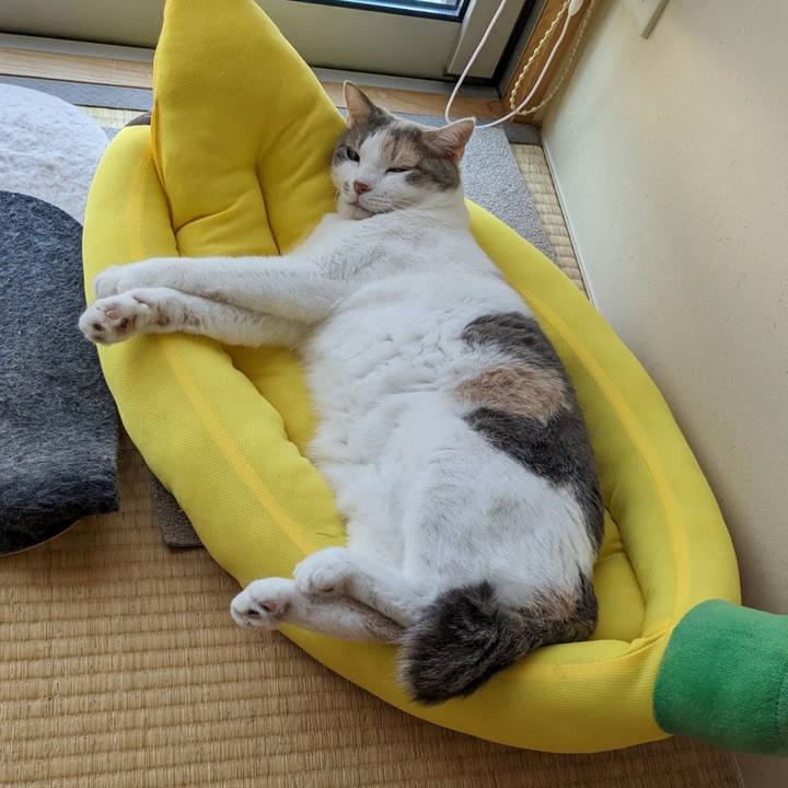 Eedaec62 3dc4 4215 b6cd d74178f3937e 1687493434028