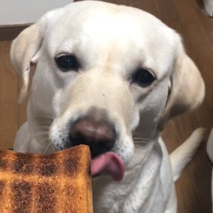 Eedb1e63 0f56 454f 9934 354e0ad144e7 1579996951480