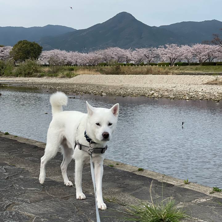 Eedb35b5 fb4a 456c 8d3a 698b40002c7e 1648509511166