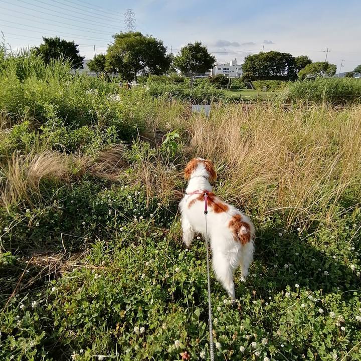 Eedb3f86 7732 4451 a141 f99a547d2802 1593690442725