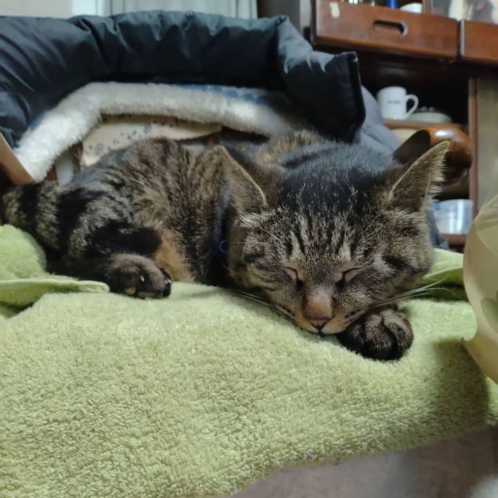 Eedb432a e9dd 4371 bc2a a9a7d32327f8 1680568652616