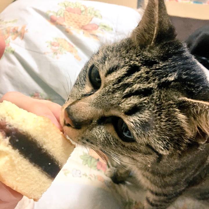 Eedb50d7 368b 4bb8 9807 3558f7832698 1519132068944